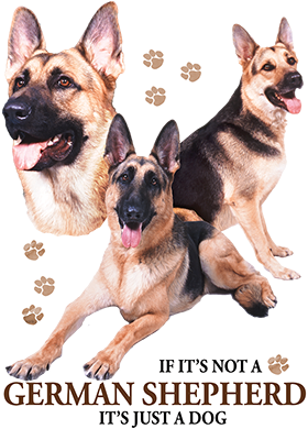 German Shepherd - T-shirt (400x400), Png Download