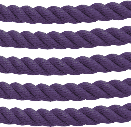 Barrier Rope Purple - Rope (460x460), Png Download