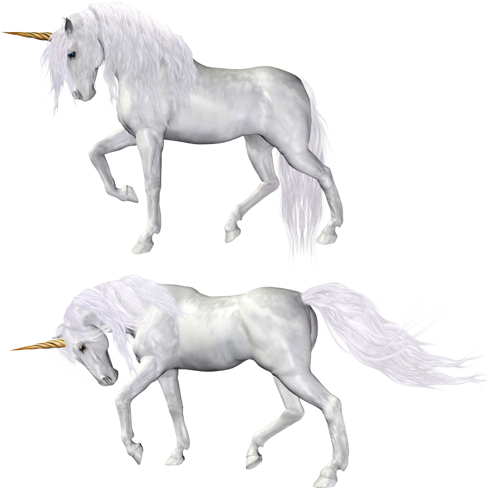 Unicorn (1614x1618), Png Download