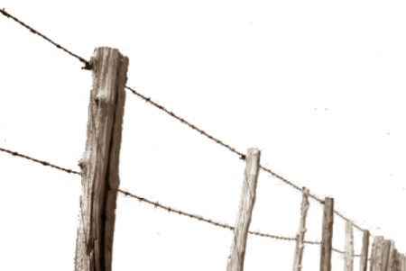 Barbed Wire Fence Png - Fence (450x301), Png Download