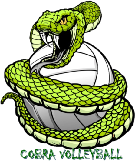 Cobra Corner - Snake Wrapped Around Ball (467x569), Png Download