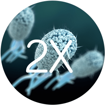 Did You Know - Crescent (421x368), Png Download