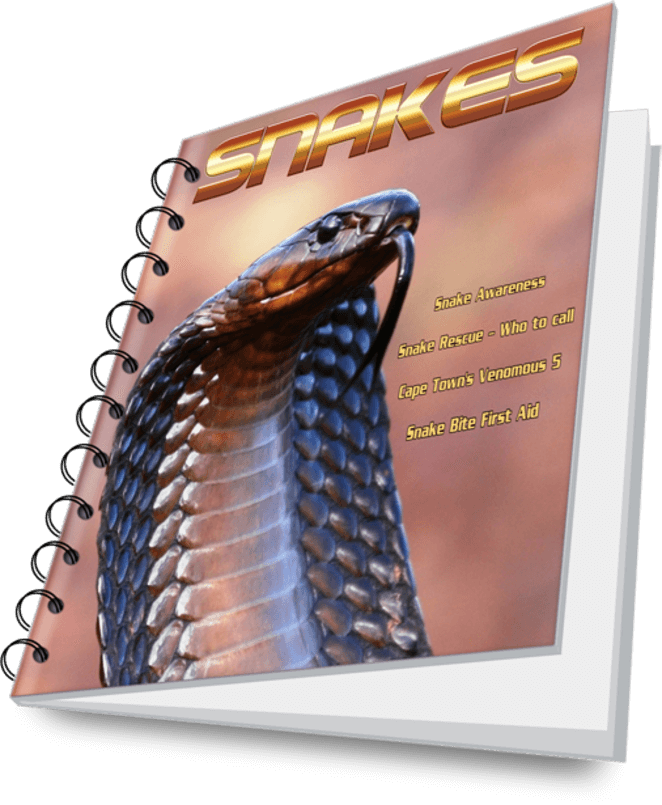 Cape Town's Most Venomous Snakes, Snakebite Emergency, - Burmese Python (662x805), Png Download