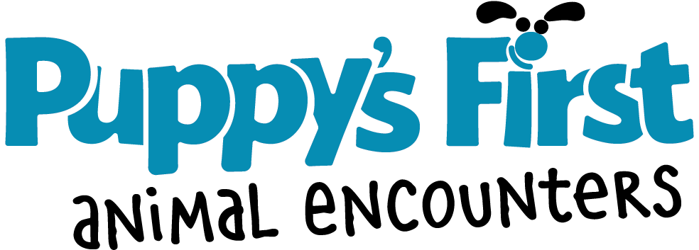 Huffington Post Live Logo - Calligraphy (1250x1250), Png Download