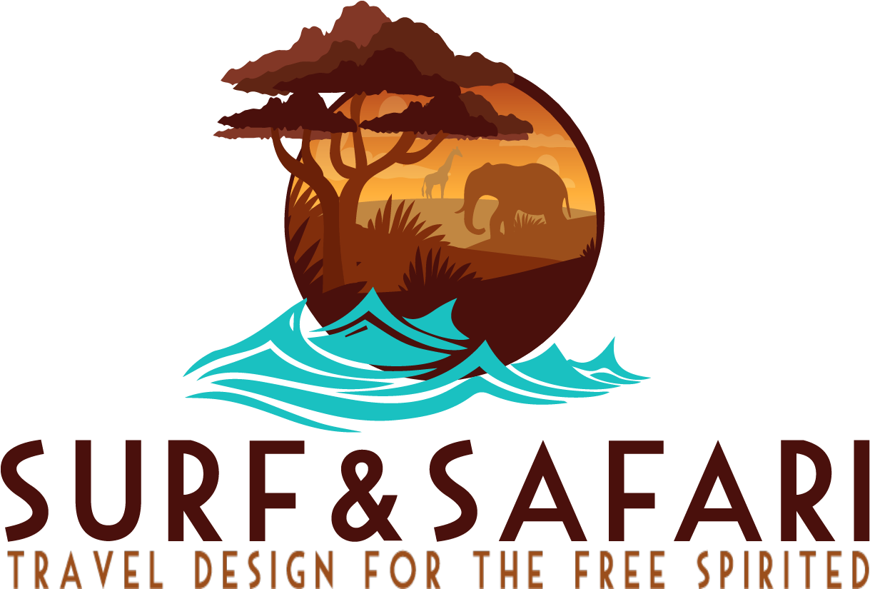 Surf And Safari - Travel (1536x824), Png Download