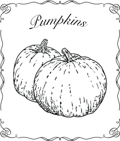 Angevine Farm Llc (434x488), Png Download