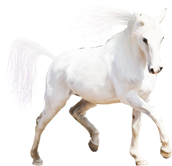 File Size - Horse (900x600), Png Download