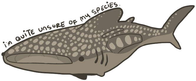 Whale Shark (723x355), Png Download