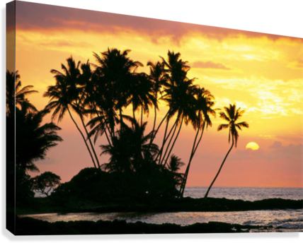Hawaii, Big Island, Wailua Bay, View Of Palm Trees - Great Big Canvas Chris Abraham Premium Thick-wrap Canvas (428x344), Png Download