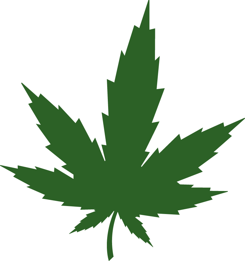 Categories - Weed Bitmap (800x850), Png Download