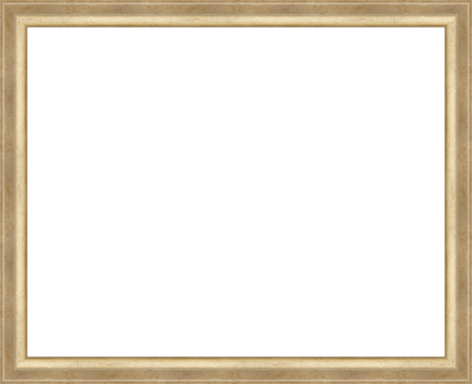 4x6, Openings Antique Silver Collage Picture Frame - Transparent Rustic Frame Png (430x350), Png Download