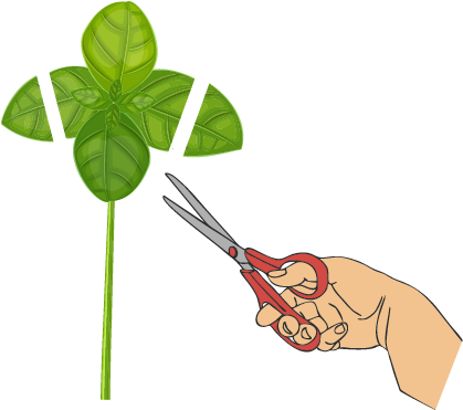 Cut Large Leaves - Leaf (450x400), Png Download