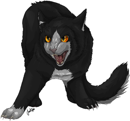 Dark Forest Cat Wcc Collab By Xxmoonwish-d54ctx4 - Dark Forest Cats Ocs (558x500), Png Download