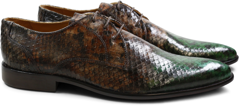 Derby Shoes Toni 1 F Snake Dark Forest Dark Brown Dark - Derbies Melvin & Hamilton Toni 1 F Snake Dark Forest (1024x1024), Png Download