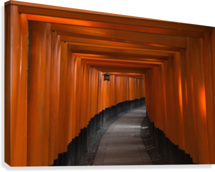 Many Tori Gates At Fushimi Inari - Fushimi Inari-taisha (429x344), Png Download