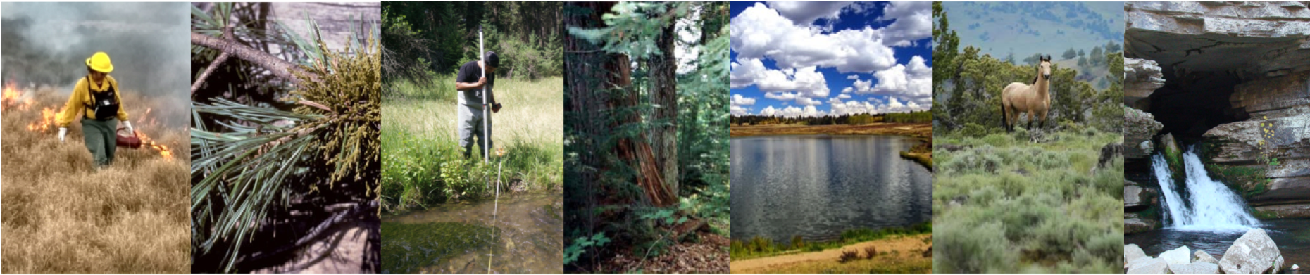 Internships In Natural Resources - Blanchard Springs Caverns (1860x527), Png Download
