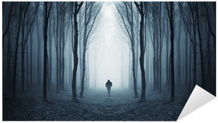 Art Print: Photoinc Studio's Dark Woods, 26x50in. (400x400), Png Download