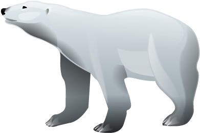 Polar Bear Png Hd - Polar Bear Illustration Png (400x400), Png Download