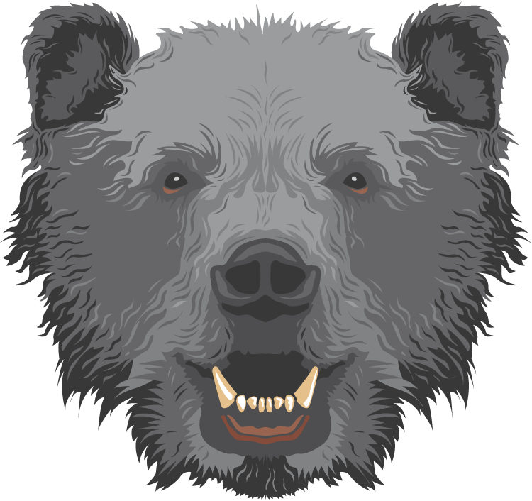 Bear Head Shower Curtain (750x706), Png Download