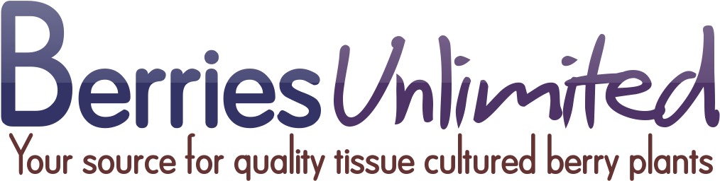 Business (1034x283), Png Download