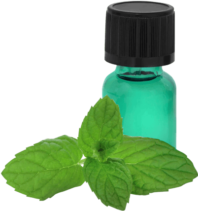 Peppermint Essential Oil The #1 Most Powerful Energy (474x500), Png Download