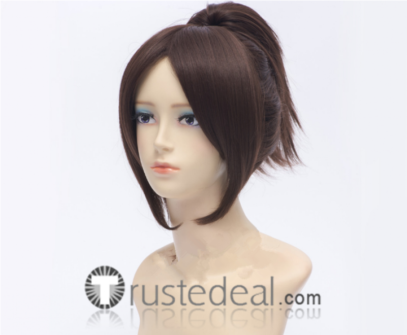 Attack On Titan Shingeki No Kyojin Hanji Zoe Brown - Wig (800x1200), Png Download