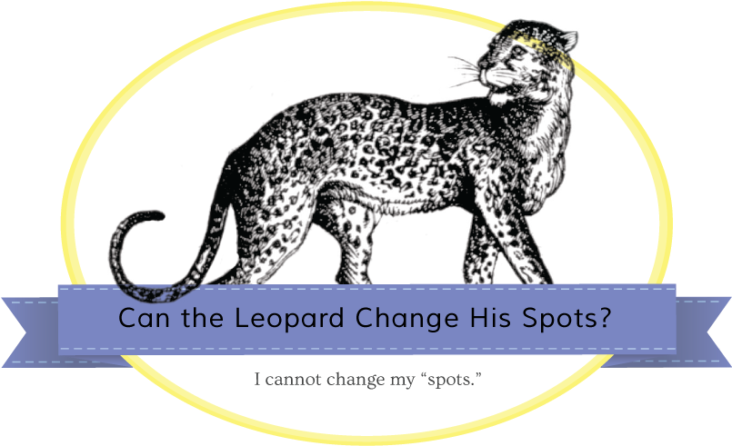 Jaguar-banner - Leopard (806x521), Png Download