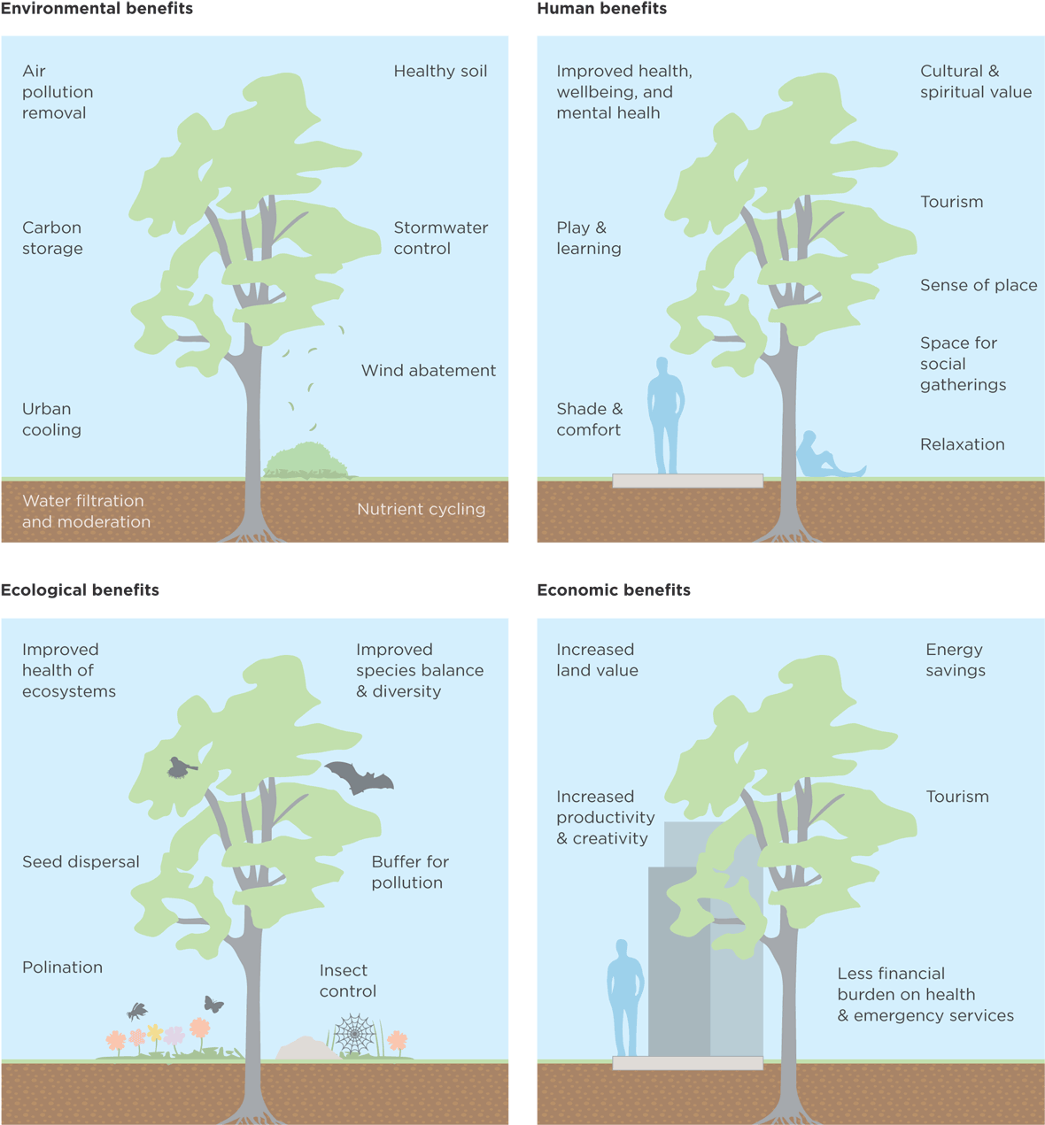 Ecology (1200x1293), Png Download