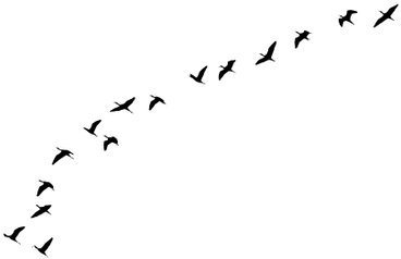 Game Of Thrones Every Flight Begins (400x400), Png Download