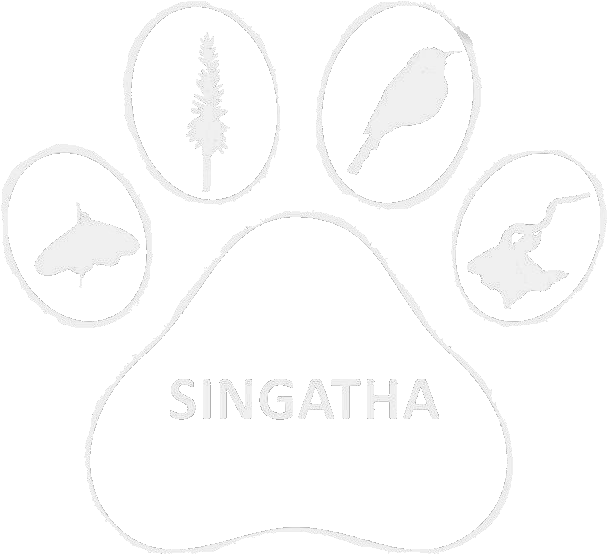 Singatha Crf - Singatha (639x588), Png Download