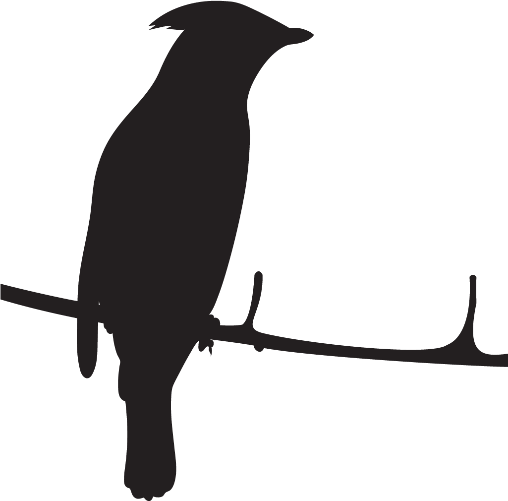 Cedar Waxwing - Cedar Waxwing Silhouette (1024x1024), Png Download
