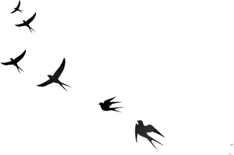 Ftestickers Sticker - Flock (758x504), Png Download