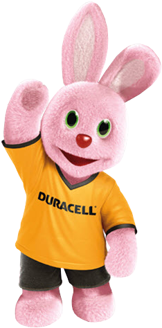 At The Heart Of These Activities He Stood And Still - Duracell Activair Easytab Hearing Aid Batteries Size (258x476), Png Download