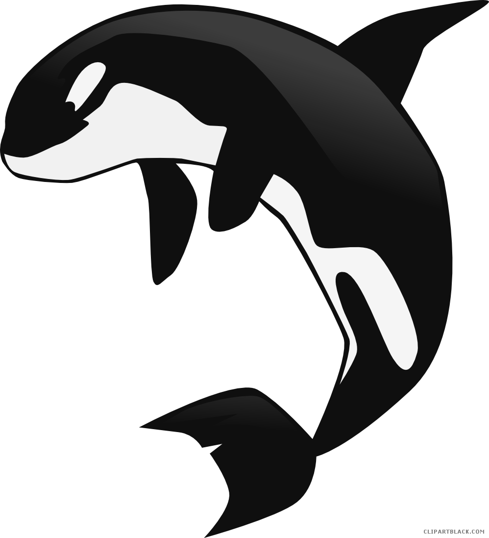 Orca Whale Clipart - Whale Clipart Transparent Background (998x1097), Png Download