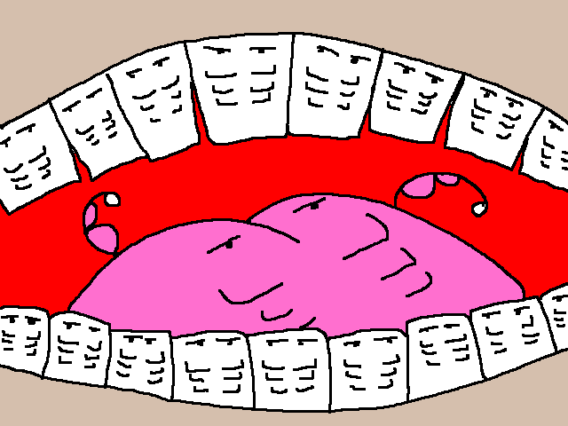 Bicuspid Six-pack (640x480), Png Download