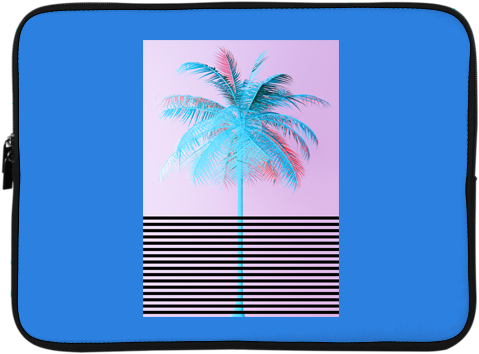 Marie Nolan Marie Williams Jeff Nolan Palm Treat - Attalea Speciosa (480x480), Png Download