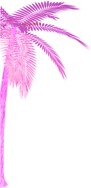 Carl Jung (305x684), Png Download