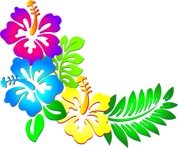 Free Flower Border Clip Art Pictures - Hibiscus Clip Art (600x499), Png Download