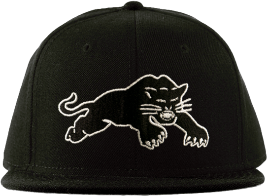 Black Panthers Hat - Baseball Cap (600x425), Png Download