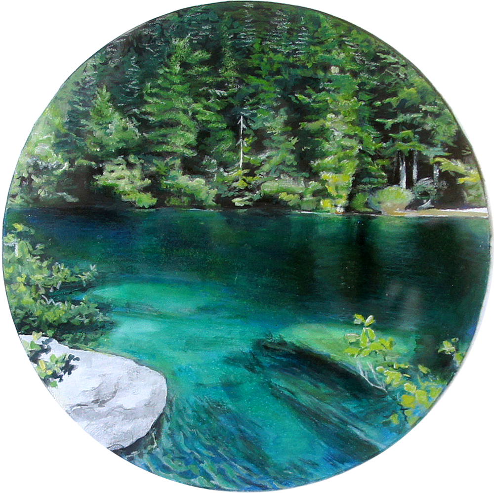 Forest (1000x998), Png Download