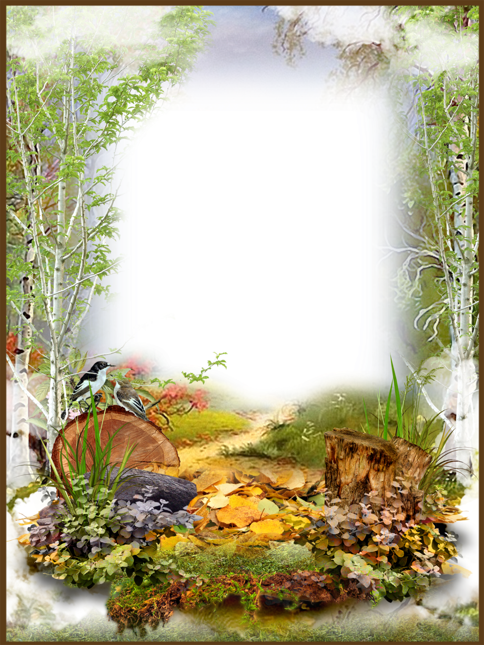 Photo Frame Autumn In The Forest (960x1280), Png Download