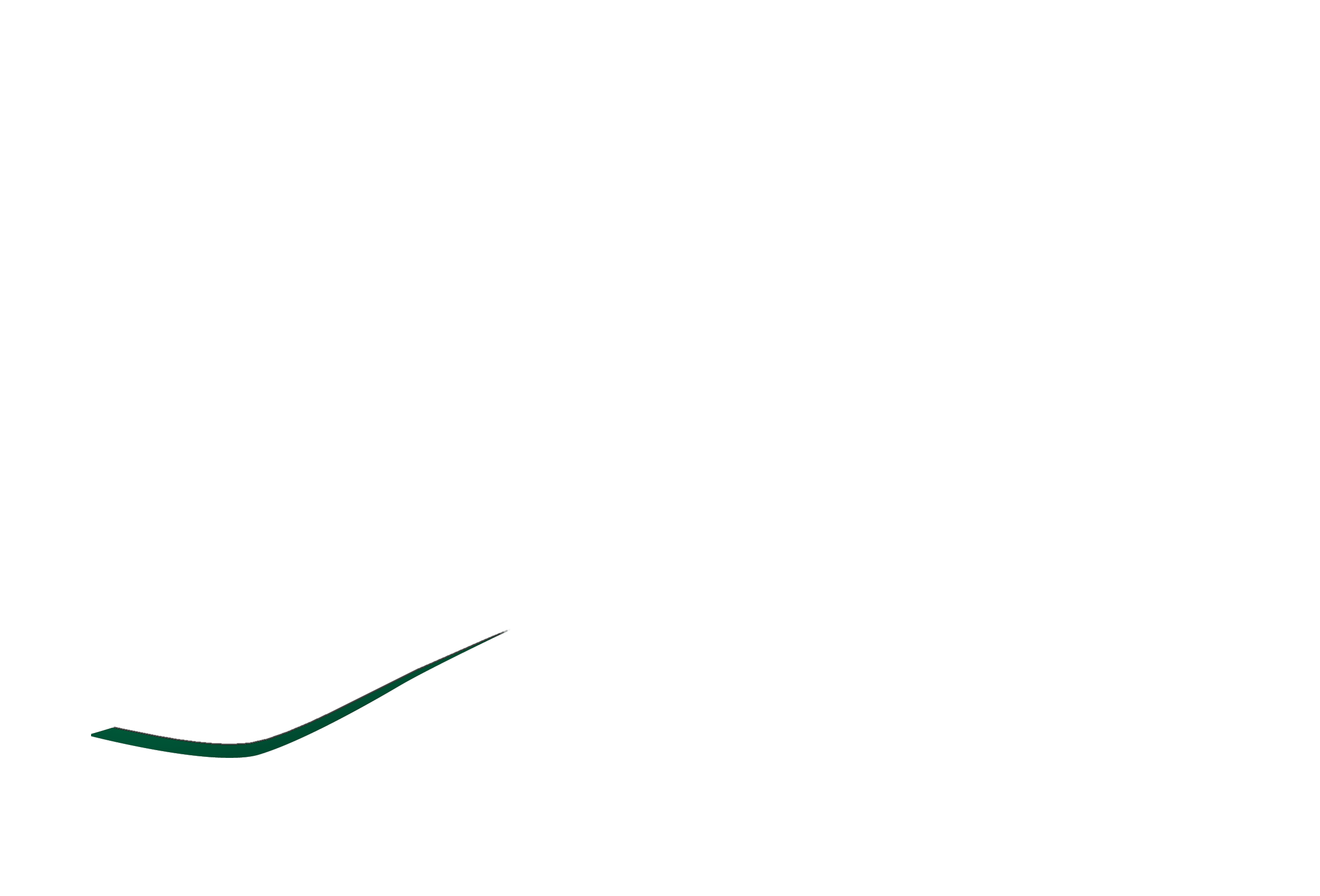 Seguin Keel Forest - Portable Network Graphics (2551x1732), Png Download