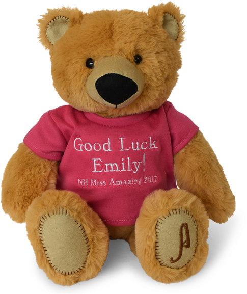 15in Emily's Bear - Teddy Bear (600x600), Png Download