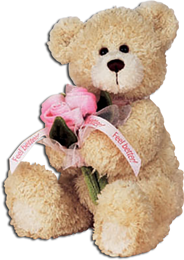 Gund Feel Better Teddy Bear With Pink Roses - Teddy Bear Feel Better (725x1018), Png Download