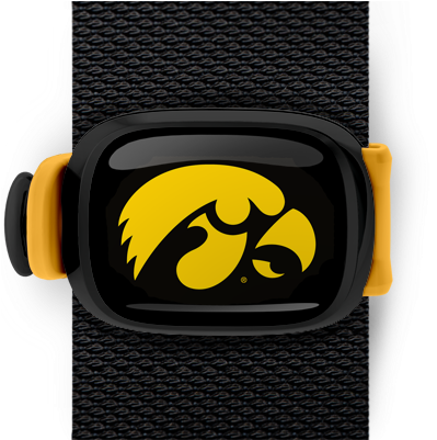 Iowa Hawkeyes Stwrap - Ncaa Iowa Hawkeyes Car Flag Hawk Logo (550x400), Png Download