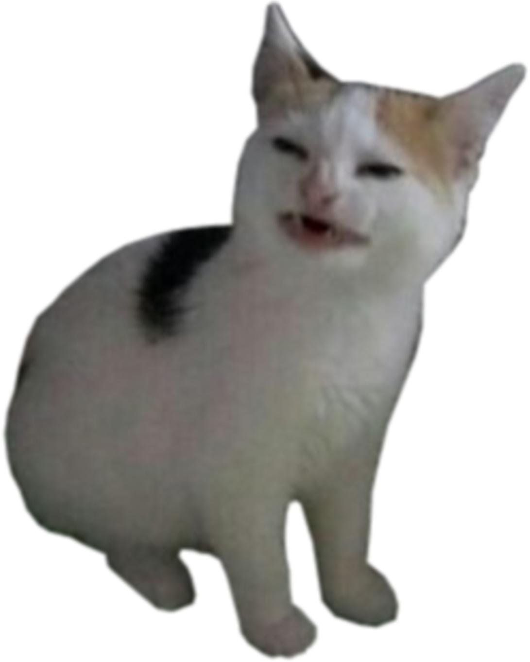 Cat (1200x1372), Png Download