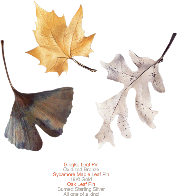 Leaf (1000x700), Png Download
