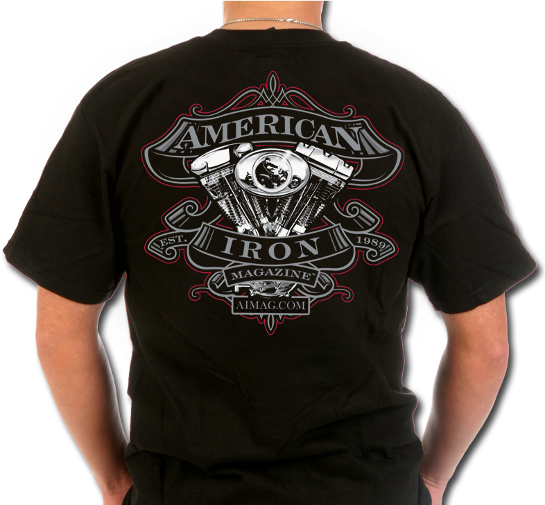 Aim Pinstripe T-shirt - Harley (800x728), Png Download