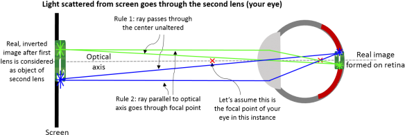 Light (600x212), Png Download