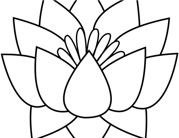 Lotus Tattoos Clipart Flower Border - Lotus Flowers Clipart Black And White (640x480), Png Download